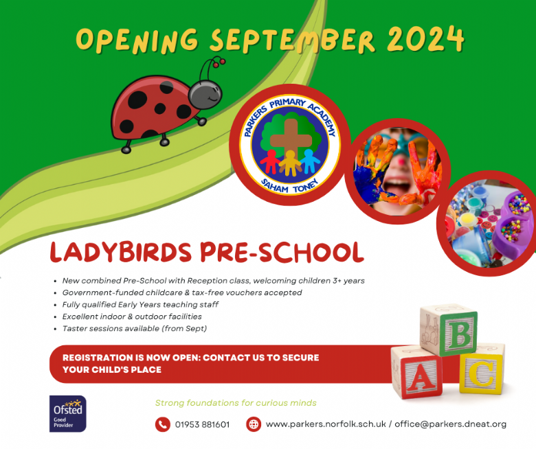 Ladybirds launch advert